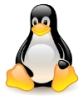 Linux Professional Institute Certification (LPIC)